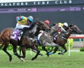 Mr Big (Stephen Baster, No 5) at his last Kranji win, which was recorded in the Group 3 Garden City Trophy (1200m) last September.<br>Photo by Singapore Turf Club